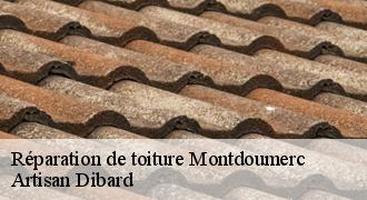 Réparation de toiture