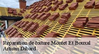 Réparation de toiture