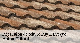 Réparation de toiture