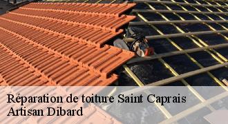 Réparation de toiture
