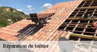 Réparation de toiture