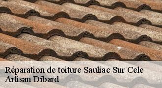 Réparation de toiture