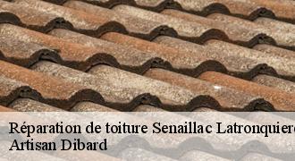 Réparation de toiture