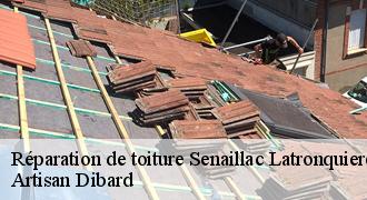 Réparation de toiture