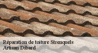 Réparation de toiture