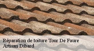 Réparation de toiture