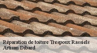 Réparation de toiture