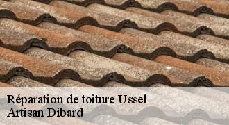 Réparation de toiture