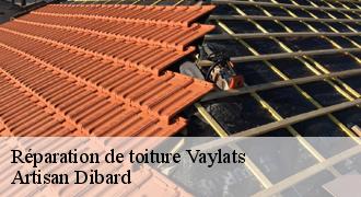 Réparation de toiture