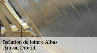 Isolation de toiture