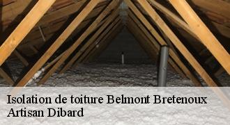 Isolation de toiture