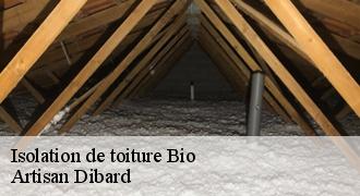 Isolation de toiture