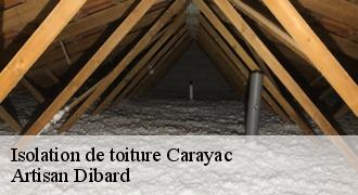 Isolation de toiture