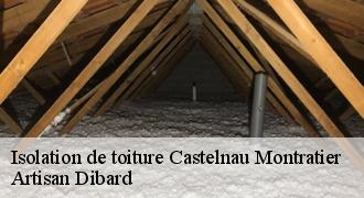 Isolation de toiture