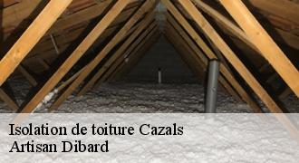 Isolation de toiture