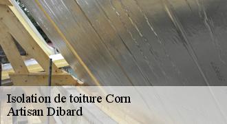 Isolation de toiture