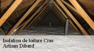 Isolation de toiture