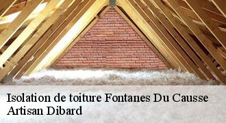 Isolation de toiture