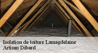 Isolation de toiture