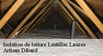 Isolation de toiture