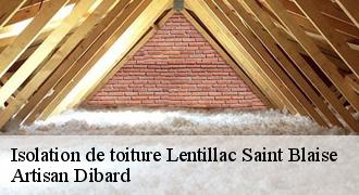Isolation de toiture