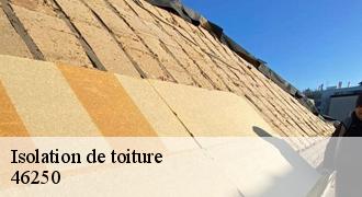 Isolation de toiture