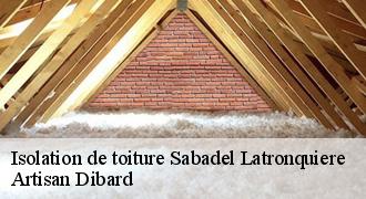 Isolation de toiture