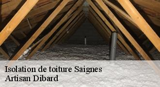 Isolation de toiture