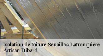 Isolation de toiture
