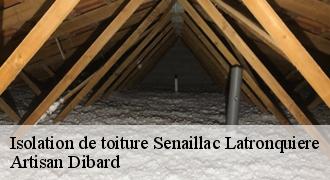 Isolation de toiture