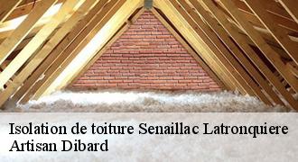 Isolation de toiture