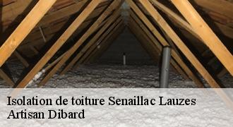 Isolation de toiture
