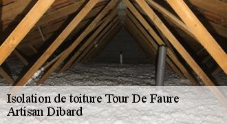 Isolation de toiture