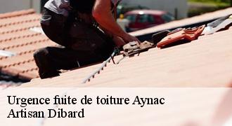 Urgence fuite de toiture
