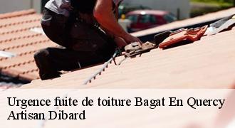 Urgence fuite de toiture