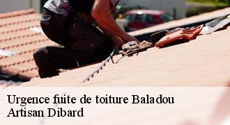 Urgence fuite de toiture