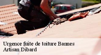 Urgence fuite de toiture