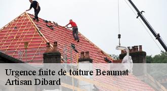 Urgence fuite de toiture