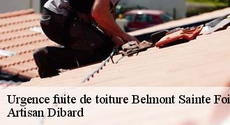 Urgence fuite de toiture