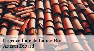 Urgence fuite de toiture