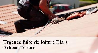 Urgence fuite de toiture