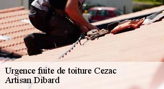Urgence fuite de toiture