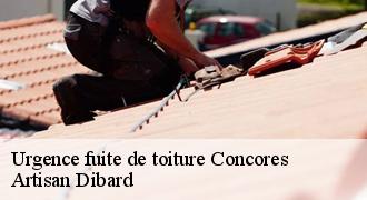 Urgence fuite de toiture