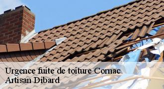 Urgence fuite de toiture