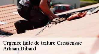 Urgence fuite de toiture