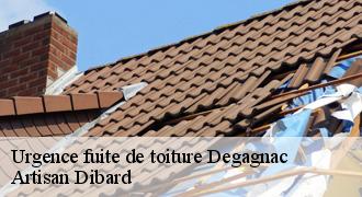 Urgence fuite de toiture