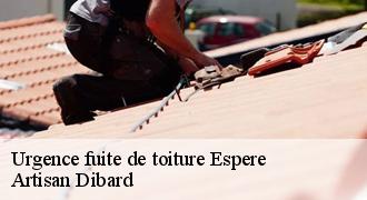 Urgence fuite de toiture