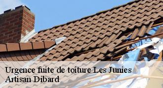 Urgence fuite de toiture