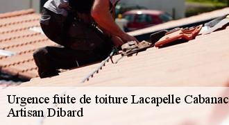 Urgence fuite de toiture