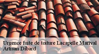Urgence fuite de toiture
